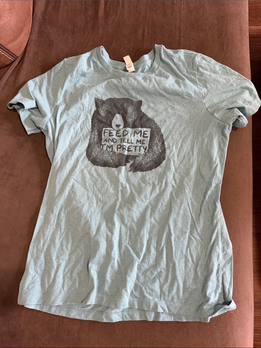 Bella Canvas Light Blue Graphic Tee with Bear Slogan